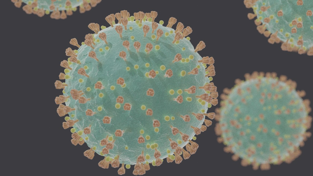 by Felipe Esquivel Reed (https://commons.wikimedia.org/wiki/File:Coronavirus_SARS-CoV-2.jpg)